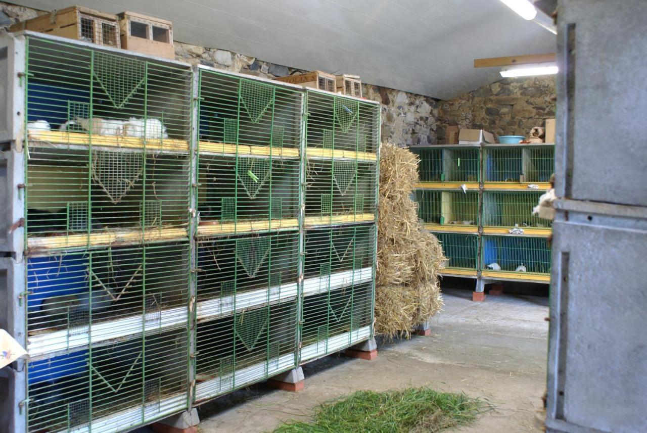 Le Logis Des Chons A La Campagne A Saint Hilaire Du Bois - Lys Haut Layon Le Plessis  Exterior foto
